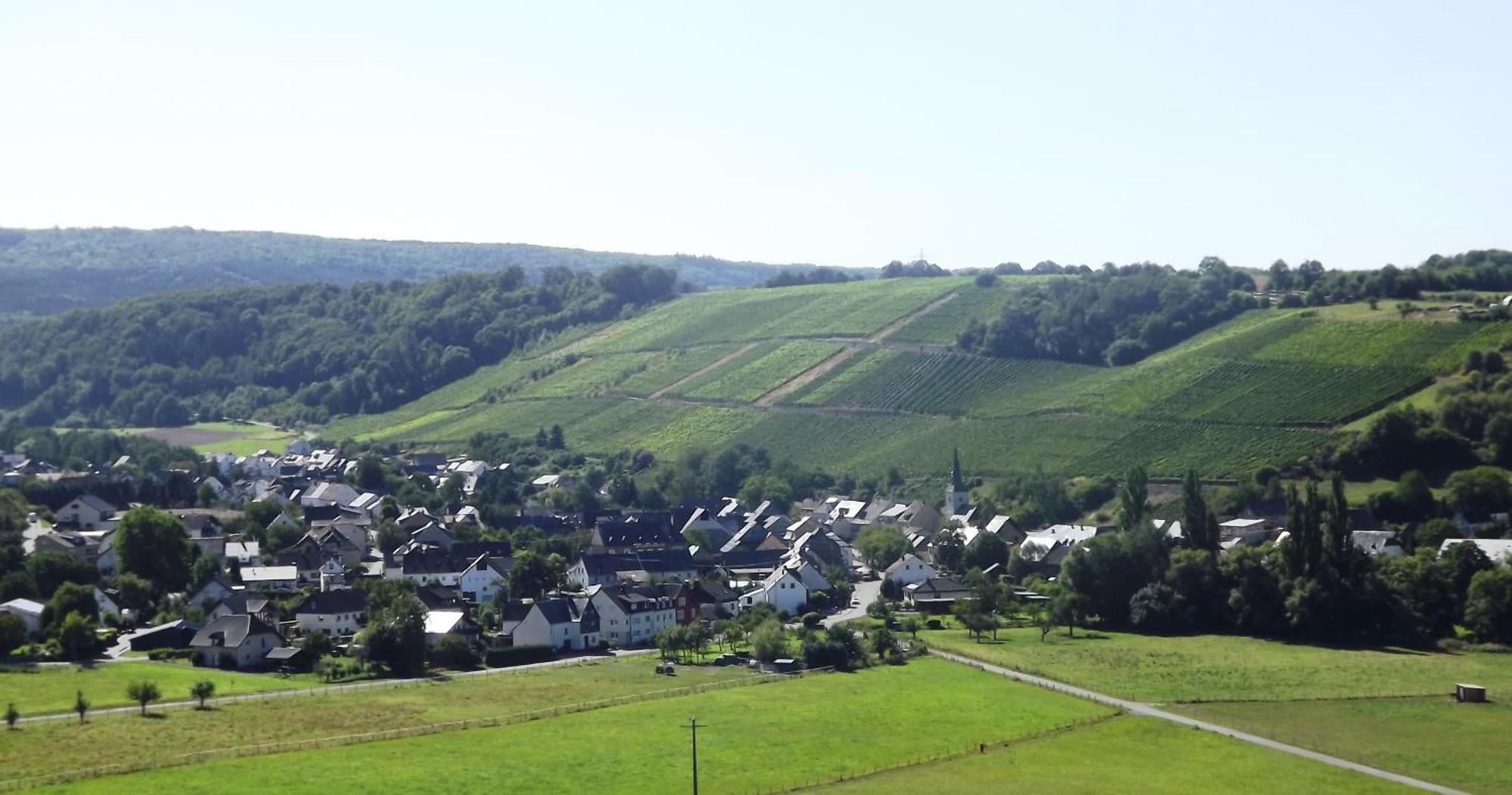 Ferienweingut & Gutsrestaurant Becker Lägenhet Burgen  Exteriör bild